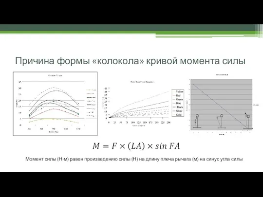 Причина формы «колокола» кривой момента силы Момент силы (Н·м) равен произведению