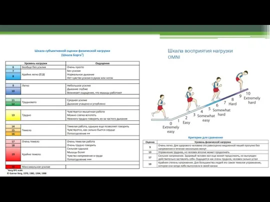 Шкала восприятия нагрузки OMNI