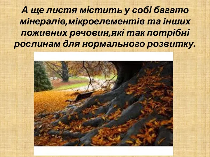 А ще листя містить у собі багато мінералів,мікроелементів та інших поживних