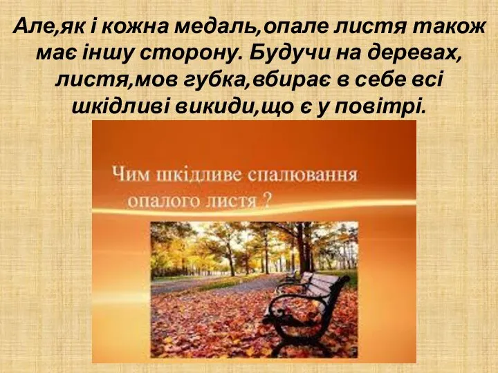 Але,як і кожна медаль,опале листя також має іншу сторону. Будучи на