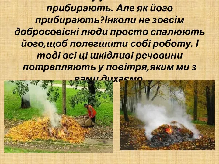 Саме тому у містах листя прибирають. Але як його прибирають?Інколи не