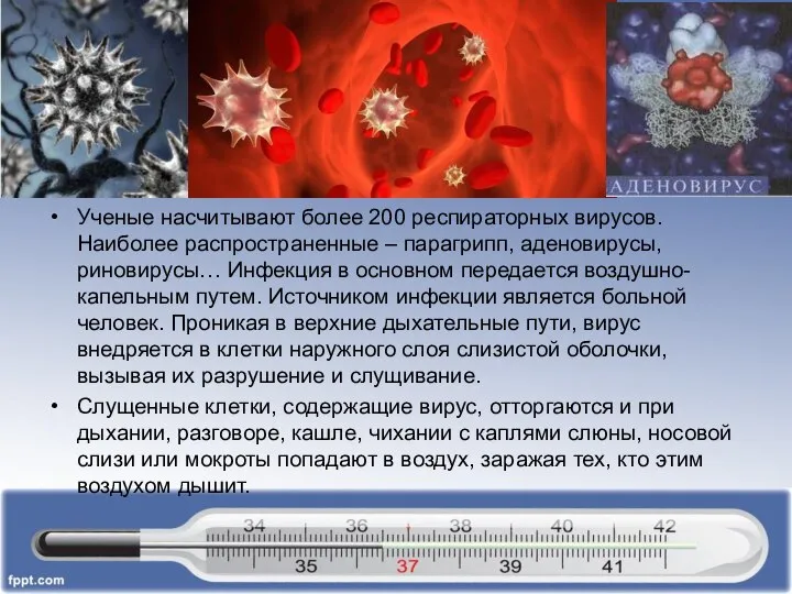 Ученые насчитывают более 200 респираторных вирусов. Наиболее распространенные – парагрипп, аденовирусы,