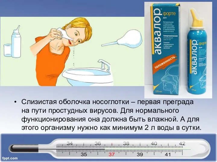 Слизистая оболочка носоглотки – первая преграда на пути простудных вирусов. Для