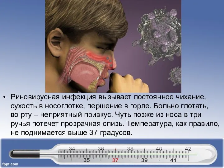 Риновирусная инфекция вызывает постоянное чихание, сухость в носоглотке, першение в горле.