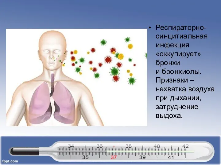 Респираторно-синцитиальная инфекция «оккупирует» бронхи и бронхиолы. Признаки – нехватка воздуха при дыхании, затруднение выдоха.