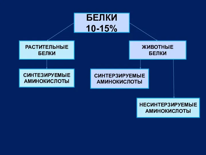 БЕЛКИ 10-15% РАСТИТЕЛЬНЫЕ БЕЛКИ ЖИВОТНЫЕ БЕЛКИ СИНТЕРЗИРУЕМЫЕ АМИНОКИСЛОТЫ СИНТЕЗИРУЕМЫЕ АМИНОКИСЛОТЫ НЕСИНТЕРЗИРУЕМЫЕ АМИНОКИСЛОТЫ