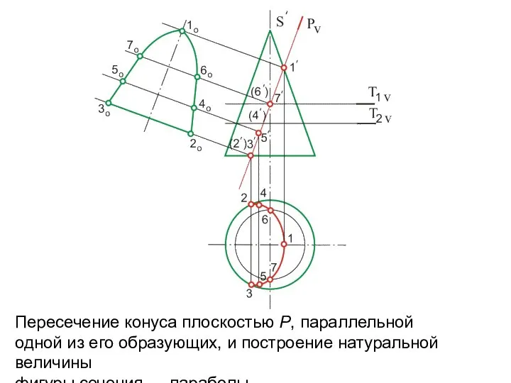 Пересечение конуса плоскостью P, параллельной одной из его образующих, и построение