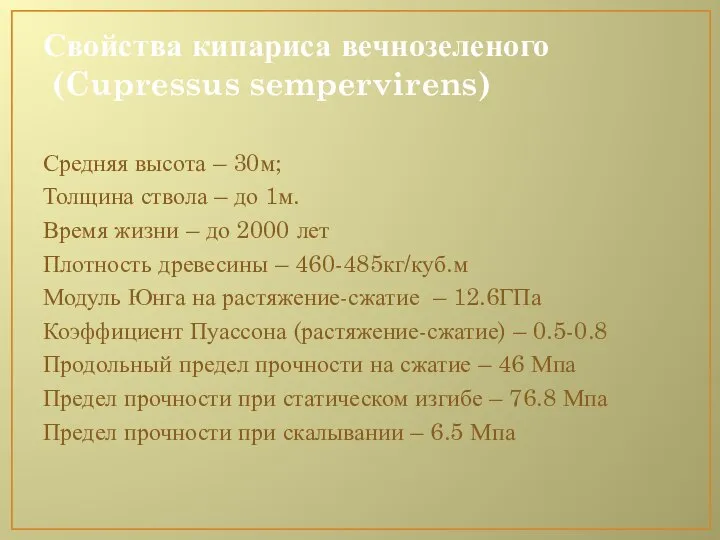 Свойства кипариса вечнозеленого (Cupressus sempervirens) Средняя высота – 30м; Толщина ствола