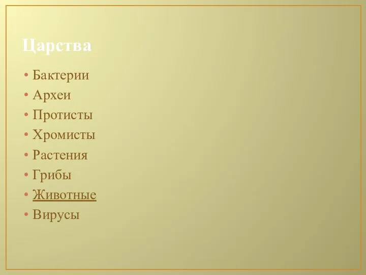 Царства Бактерии Археи Протисты Хромисты Растения Грибы Животные Вирусы