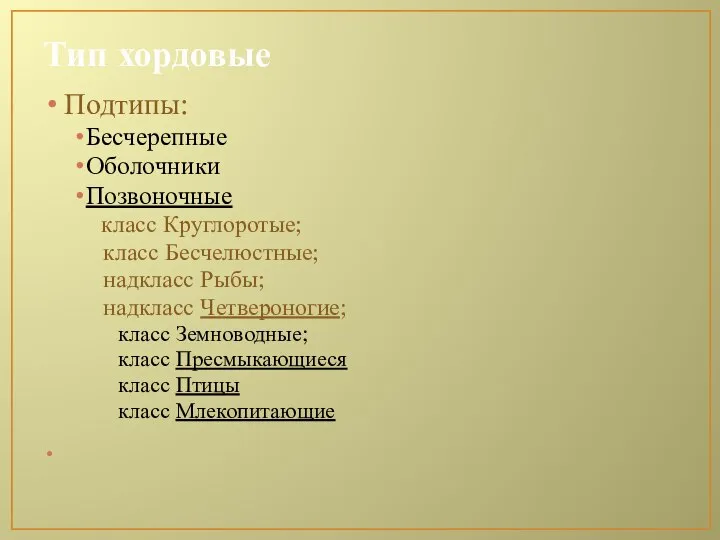 Тип хордовые Подтипы: Бесчерепные Оболочники Позвоночные класс Круглоротые; класс Бесчелюстные; надкласс