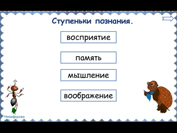 Ступеньки познания. восприятие память мышление воображение