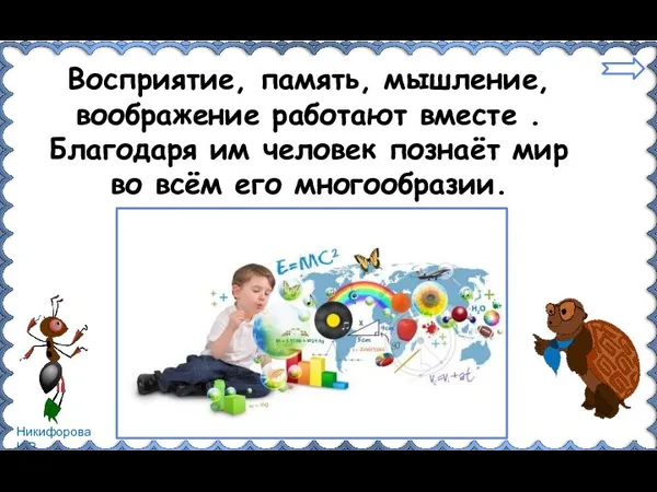 Восприятие, память, мышление, воображение работают вместе . Благодаря им человек познаёт мир во всём его многообразии.