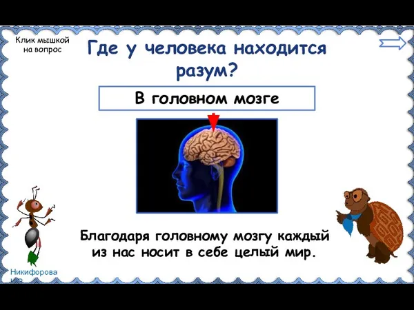 Где у человека находится разум? В головном мозге Клик мышкой на