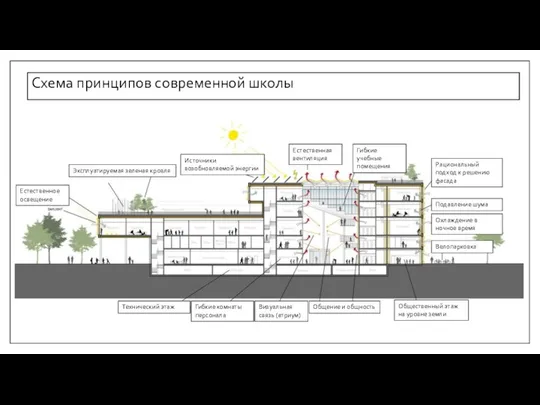 Схема принципов современной школы Эксплуатируемая зеленая кровля Источники возобновляемой энергии Естественное