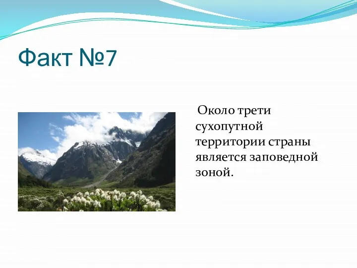 Факт №7 Около трети сухопутной территории страны является заповедной зоной.