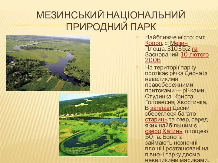 МЕЗИНСЬКИЙ НАЦІОНАЛЬНИЙ ПРИРОДНИЙ ПАРК Найближче місто: смт Короп, с. Мезин Площа: