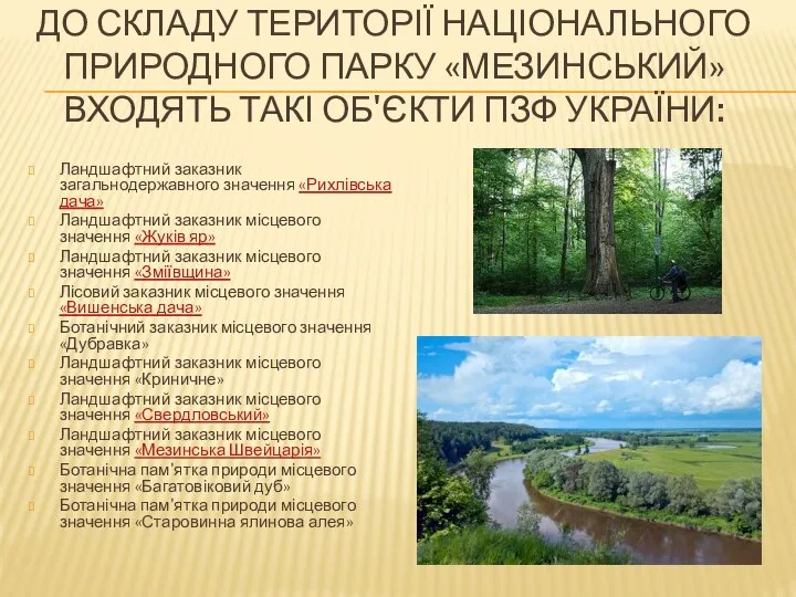 ДО СКЛАДУ ТЕРИТОРІЇ НАЦІОНАЛЬНОГО ПРИРОДНОГО ПАРКУ «МЕЗИНСЬКИЙ» ВХОДЯТЬ ТАКІ ОБ'ЄКТИ ПЗФ