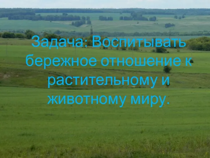 Задача: Воспитывать бережное отношение к растительному и животному миру.