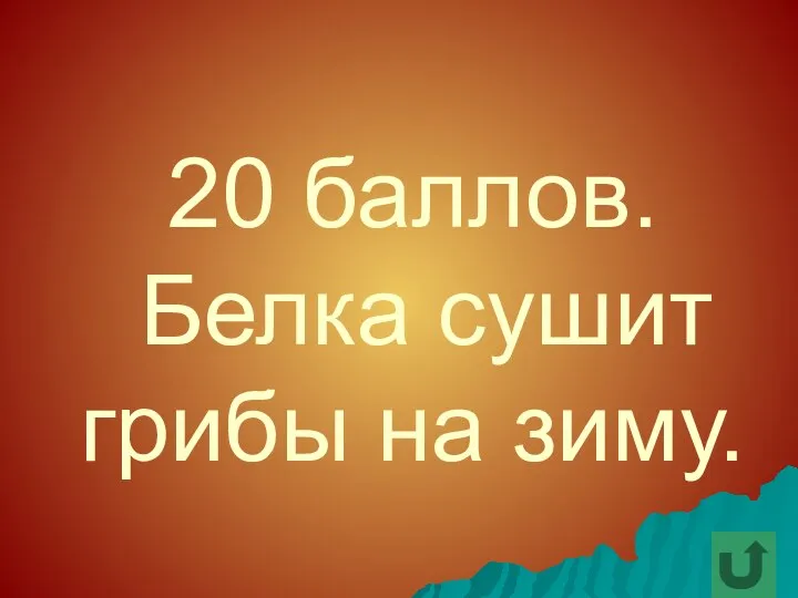 20 баллов. Белка сушит грибы на зиму.