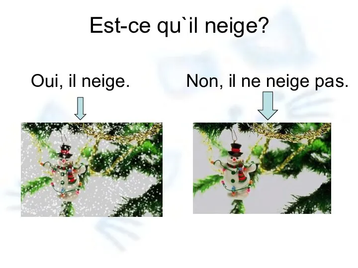 Est-ce qu`il neige? Oui, il neige. Non, il ne neige pas.