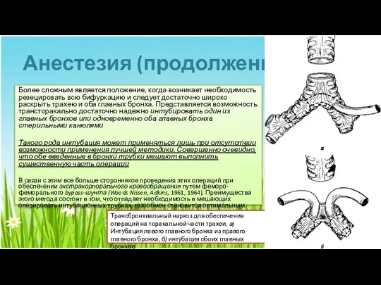 Анестезия (продолжениие) Более сложным является положение, когда возникает необходимость резецировать всю