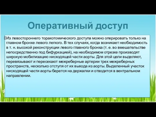 Оперативный доступ Из левостороннего торакотомического доступа можно оперировать только на главном