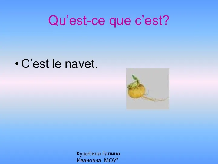 Куцобина Галина Ивановна МОУ"Алексеевская СОШ" Qu’est-ce que c’est? C’est le navet.