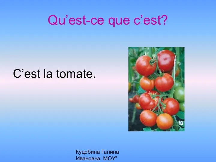 Куцобина Галина Ивановна МОУ"Алексеевская СОШ" Qu’est-ce que c’est? C’est la tomate.