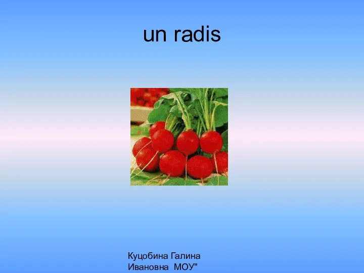 Куцобина Галина Ивановна МОУ"Алексеевская СОШ" un radis