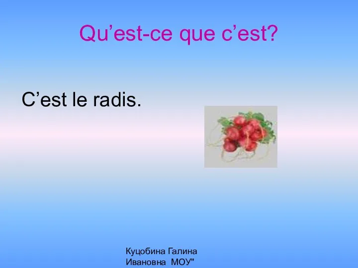 Куцобина Галина Ивановна МОУ"Алексеевская СОШ" Qu’est-ce que c’est? C’est le radis.