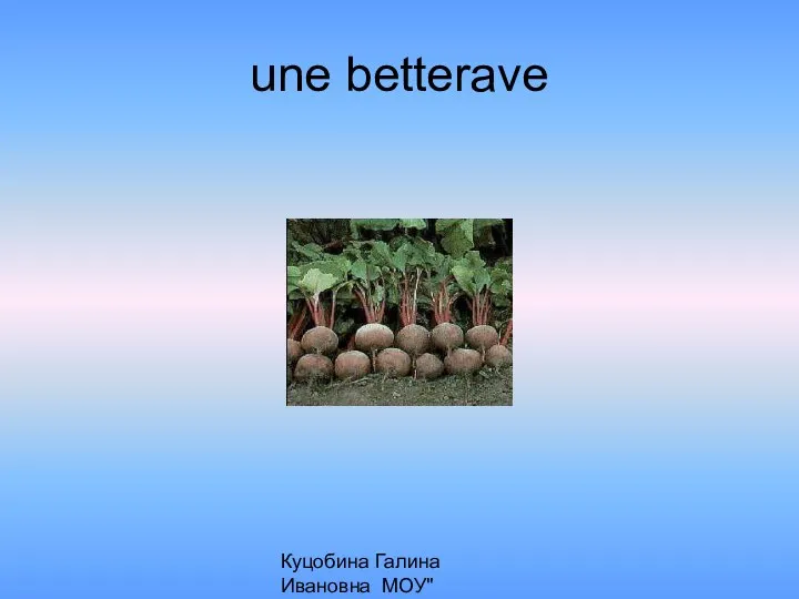 Куцобина Галина Ивановна МОУ"Алексеевская СОШ" une betterave