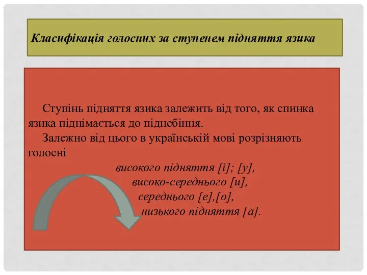 Класифікація голосних за ступенем підняття язика Ступінь підняття язика залежить від