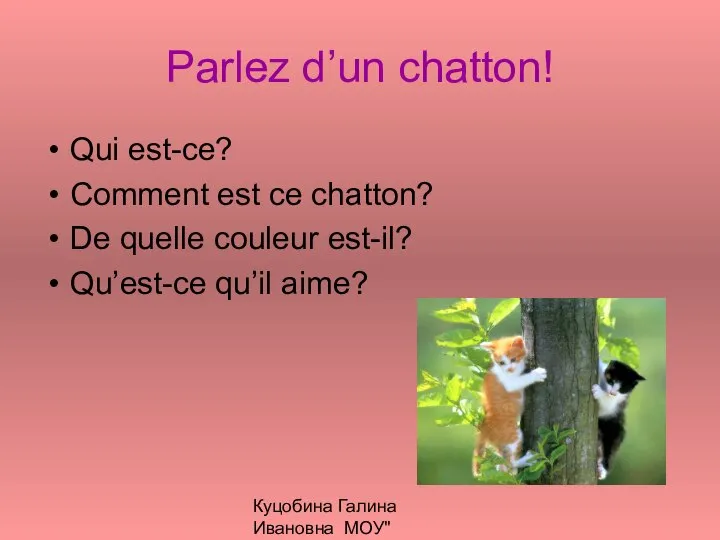 Куцобина Галина Ивановна МОУ"Алексеевская СОШ" Parlez d’un chatton! Qui est-ce? Comment