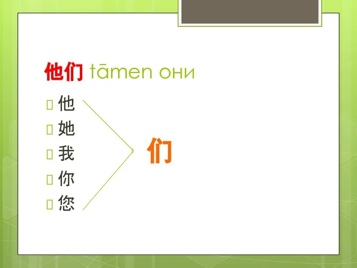 他们 tāmen они 他 她 我 你 您 们