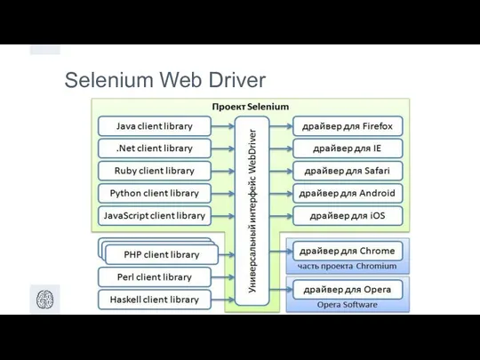 Selenium Web Driver
