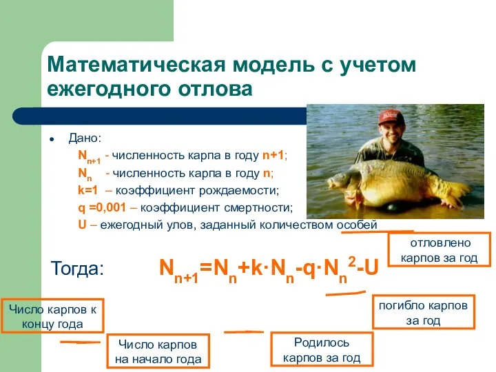 Математическая модель с учетом ежегодного отлова Дано: Nn+1 - численность карпа