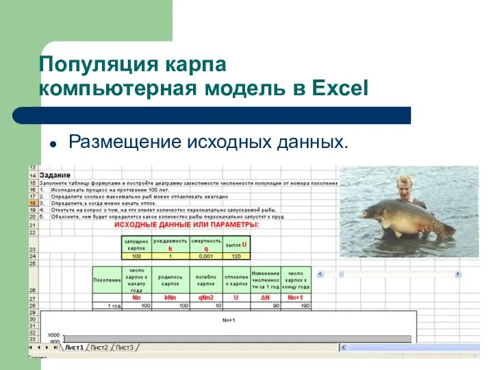 Популяция карпа компьютерная модель в Excel Размещение исходных данных.