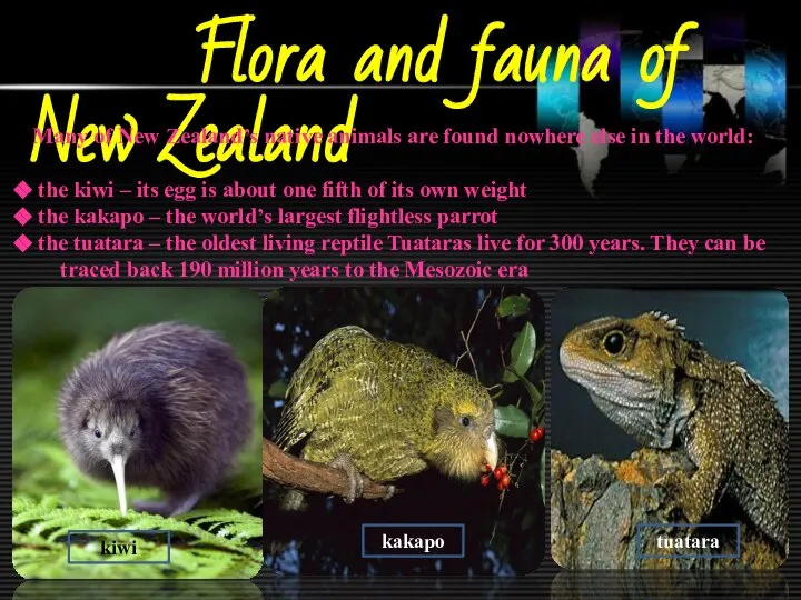 Flora and fauna of New Zealand Many of New Zealand’s native