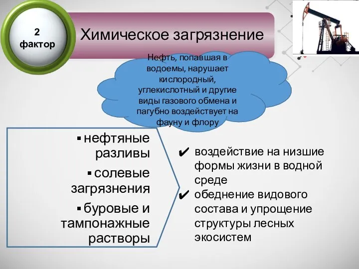 Химическое загрязнение нефтяные разливы солевые загрязнения буровые и тампонажные растворы воздействие