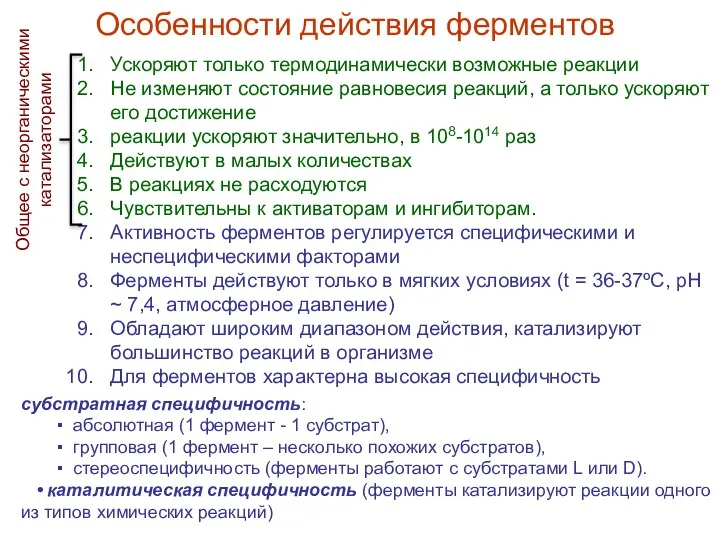 Особенности действия ферментов Ускоряют только термодинамически возможные реакции Не изменяют состояние