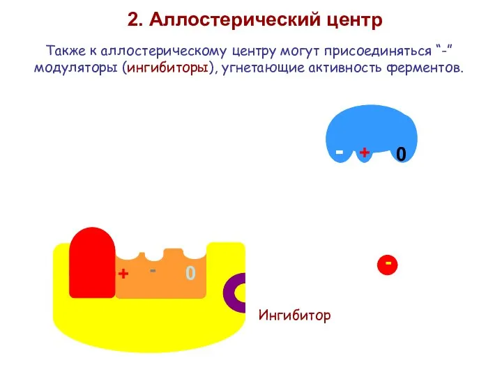 2. Аллостерический центр Также к аллостерическому центру могут присоединяться “-” модуляторы