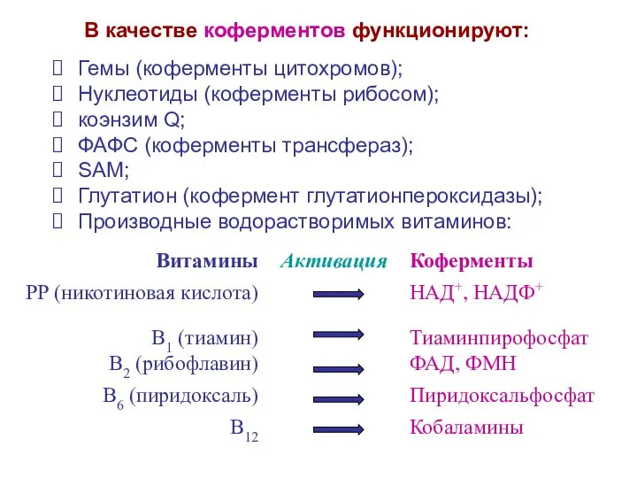 В качестве коферментов функционируют: Гемы (коферменты цитохромов); Нуклеотиды (коферменты рибосом); коэнзим