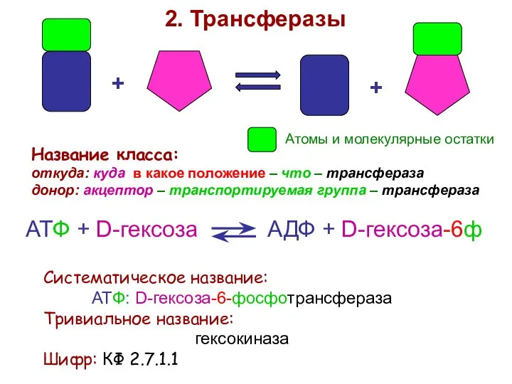+ + 2. Трансферазы Название класса: откуда: куда в какое положение