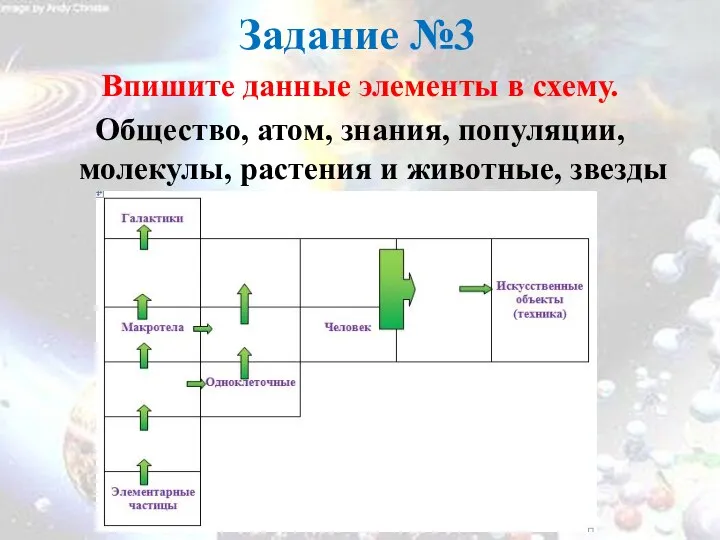 Задание №3 Впишите данные элементы в схему. Общество, атом, знания, популяции,