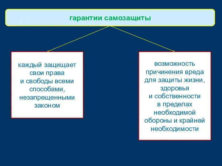 каждый защищает свои права и свободы всеми способами, незапрещенными законом гарантии