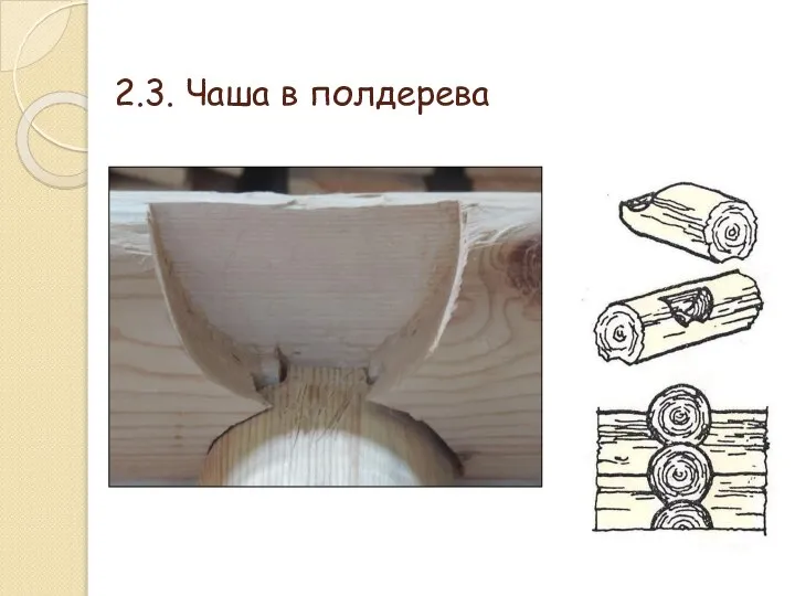 2.3. Чаша в полдерева