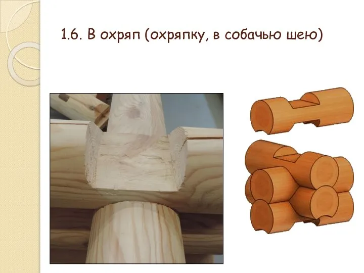 1.6. В охряп (охряпку, в собачью шею)