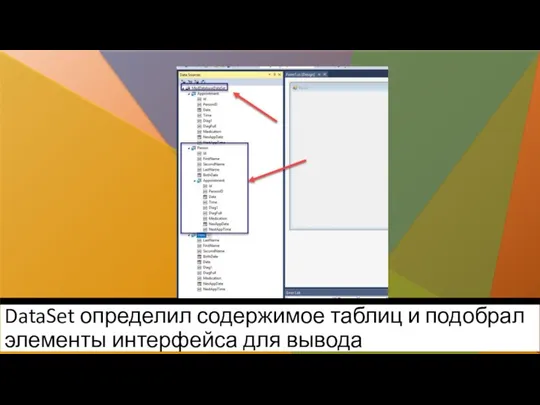 DataSet определил содержимое таблиц и подобрал элементы интерфейса для вывода