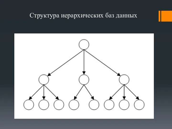 Структура иерархических баз данных
