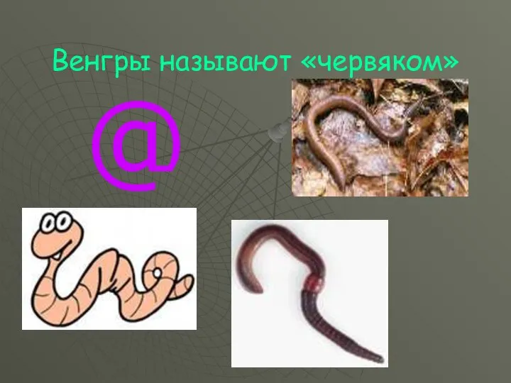 Венгры называют «червяком» @